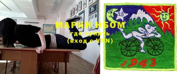 ПСИЛОЦИБИНОВЫЕ ГРИБЫ Инсар