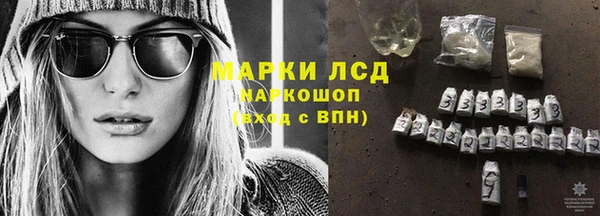 ПСИЛОЦИБИНОВЫЕ ГРИБЫ Инсар