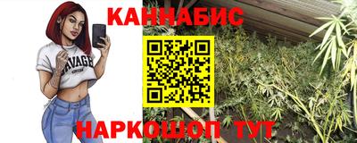 индика Будённовск