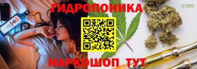 индика Будённовск