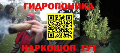 индика Будённовск