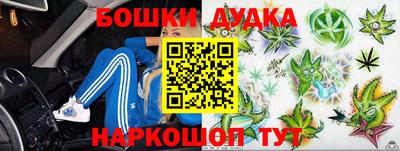 индика Будённовск