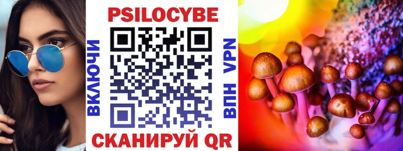 Псилоцибиновые грибы Psilocybine cubensis  Горячий Ключ 