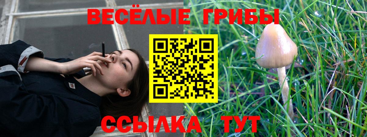 как найти закладки  Горячий Ключ  Галлюциногенные грибы прущие грибы 