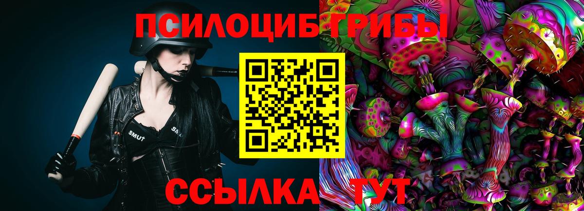 Галлюциногенные грибы MAGIC MUSHROOMS  Вход с VPN  Псилоцибиновые грибы Cubensis  Горячий Ключ 