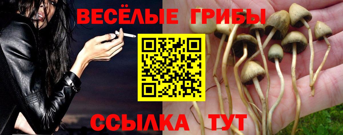 Галлюциногенные грибы прущие грибы Горячий Ключ